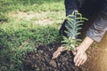 Young man planting the tree in the garden as earth day and save Royalty Free Stock Photo