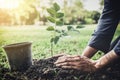 Young man planting the tree in the garden as earth day and save Royalty Free Stock Photo