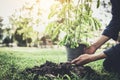 Young man planting the tree in the garden as earth day and save Royalty Free Stock Photo