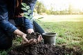 The young man is planting tree to preserve environment Royalty Free Stock Photo