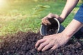 The young man is planting tree to preserve environment Royalty Free Stock Photo