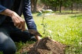 The young man is planting the tree to preserve environment Royalty Free Stock Photo