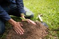 The young man is planting the tree to preserve environment Royalty Free Stock Photo