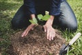 The young man is planting the tree to preserve environment Royalty Free Stock Photo