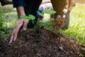 The young man is planting the tree to preserve environment Royalty Free Stock Photo