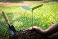 The young man is planting the tree to preserve environment Royalty Free Stock Photo