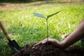 The young man is planting the tree to preserve environment Royalty Free Stock Photo