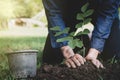 The young man is planting tree to preserve environment Royalty Free Stock Photo