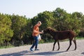 Young man playing and feed wild donkey, Cyprus, Karpaz National Park Wild Donkey Protection Area. Royalty Free Stock Photo