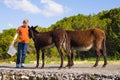 Young man playing and feed wild donkeys, Cyprus, Karpaz National Park Wild Donkey Protection Area. Royalty Free Stock Photo