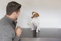 young man playing with his cute small dog. handshake between man and dog - High Five - teamwork. Pets indoors, love for animals