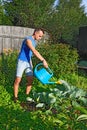 A young man and pours out of the blue watering the cabbage in th