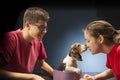 A young man presents a beagle puppy to a beautiful smiling girl in a purple gift box for Christmas or a birthday Royalty Free Stock Photo