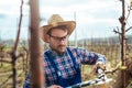 Young man pruning branches of fruit tree in springtime Royalty Free Stock Photo