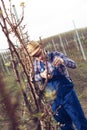 Young man pruning branches of fruit tree in springtime Royalty Free Stock Photo