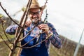 Young man pruning branches of fruit tree in springtime Royalty Free Stock Photo