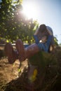 Young man pushing his girlfriend in wheelbarrow at vineyard Royalty Free Stock Photo