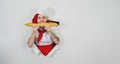 Young man with red dreadlocks dressed as chef bites white bread, standing in hole of white background. Hungry male cook