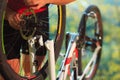 Young man repairing mountain bike in the forest Royalty Free Stock Photo