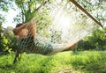 Young man resting in comfortable hammock at garden Royalty Free Stock Photo