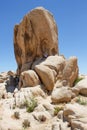 Young man rests under enormous rock looking into the distance. Joshua Tree National Prk, California, USA. Royalty Free Stock Photo