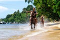 Young man riding horse on the beach on Taveuni Island, Fiji