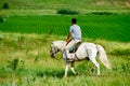 A young man riding horse on the grassland Royalty Free Stock Photo