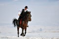 Young man riding horse outdoor in winter Royalty Free Stock Photo