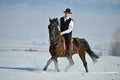 Young man riding horse outdoor in winter Royalty Free Stock Photo