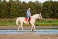 Young man riding a horse at sunset on the beach. Man with a horse in the rays of the sun by the sea. Royalty Free Stock Photo