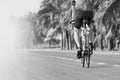 Young man riding road biking bycycle on asphalt track in black a