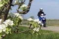 Young man riding on scooter along blossom trees