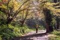 Young man with a rucksack going down by the beatiful forest pathway Royalty Free Stock Photo
