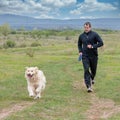 Young man running with your golden retriever dog on the meadow Royalty Free Stock Photo