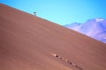 A young man with a sandboard and mountains in the background Royalty Free Stock Photo