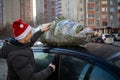 A man in Santa Claus hat tying a Christmas tree to the roof of the car to bring it home Royalty Free Stock Photo