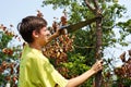 Young man sawing dry wood