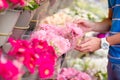 Young man selecting fresh flowers to his lovely girlfriend at european market. Closeup variety and vibrant flowers. Royalty Free Stock Photo