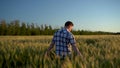 A young man in a shirt is walking on a green wheat field. A man walks and touches the ears of wheat. Back view. Royalty Free Stock Photo