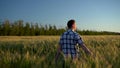 A young man in a shirt is walking on a green wheat field. A man walks and touches the ears of wheat. Back view. Royalty Free Stock Photo