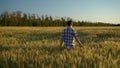 A young man in a shirt is walking on a green wheat field. A man walks and touches the ears of wheat. Back view. Royalty Free Stock Photo