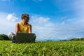 Young man sitting on the grass and working with laptop Royalty Free Stock Photo