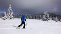 Ski Touring on Kubinska hola, Oravska Magura, Slovakia Royalty Free Stock Photo