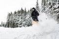 Young man skiing downhill trough deep powder snow. Royalty Free Stock Photo