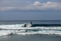 Young man sliding down a wave on a yellow surfboard. Surfer on a yellow surfboard on the crest of the wave. Young surfer learns to Royalty Free Stock Photo