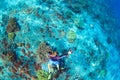 Young man in snorkelling mask dive underwater Royalty Free Stock Photo