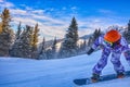 Young man snowboarder running down the slope in Karakol mountains. Royalty Free Stock Photo