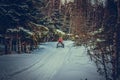 A young man on a snowmobile rides through the woods Royalty Free Stock Photo