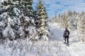 Young man snowshoeing in winter, in the Quebec eastern township