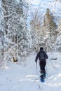 Young man snowshoeing in winter, in the Quebec eastern township